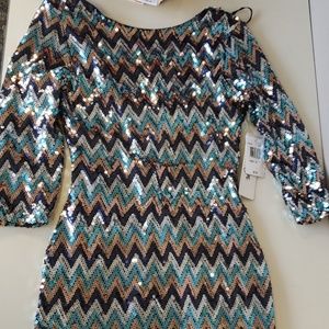 NWT Sequin Chevron Dress